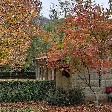 Bungalows - Serra Do Geres Кампо до Жерес Екстериор снимка