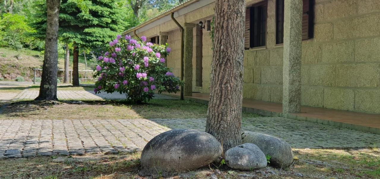 Bungalows - Serra Do Geres Кампо до Жерес Екстериор снимка