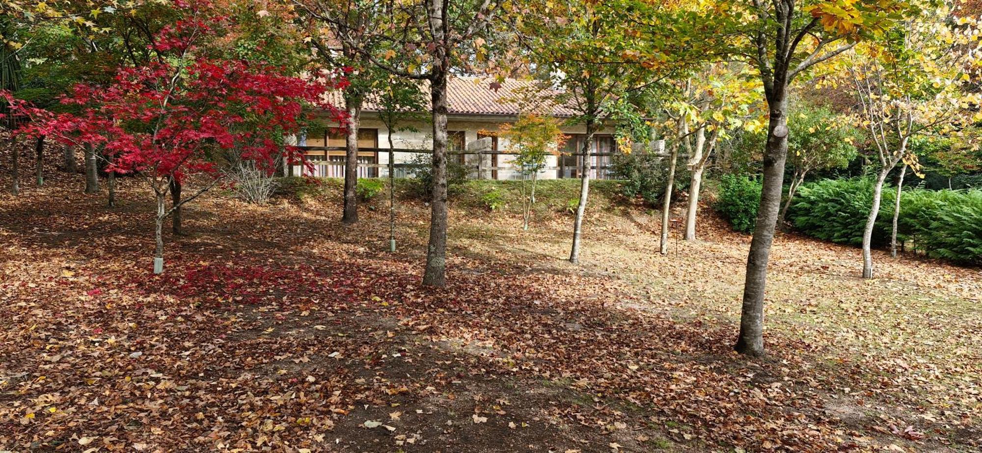 Bungalows - Serra Do Geres Кампо до Жерес Екстериор снимка