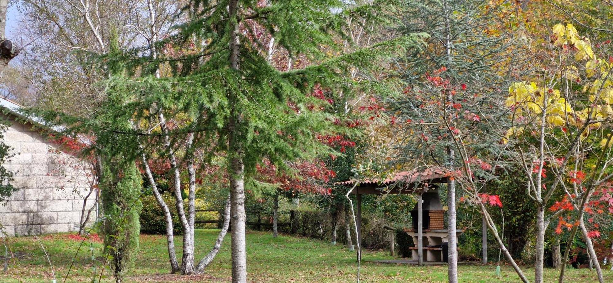 Bungalows - Serra Do Geres Кампо до Жерес Екстериор снимка